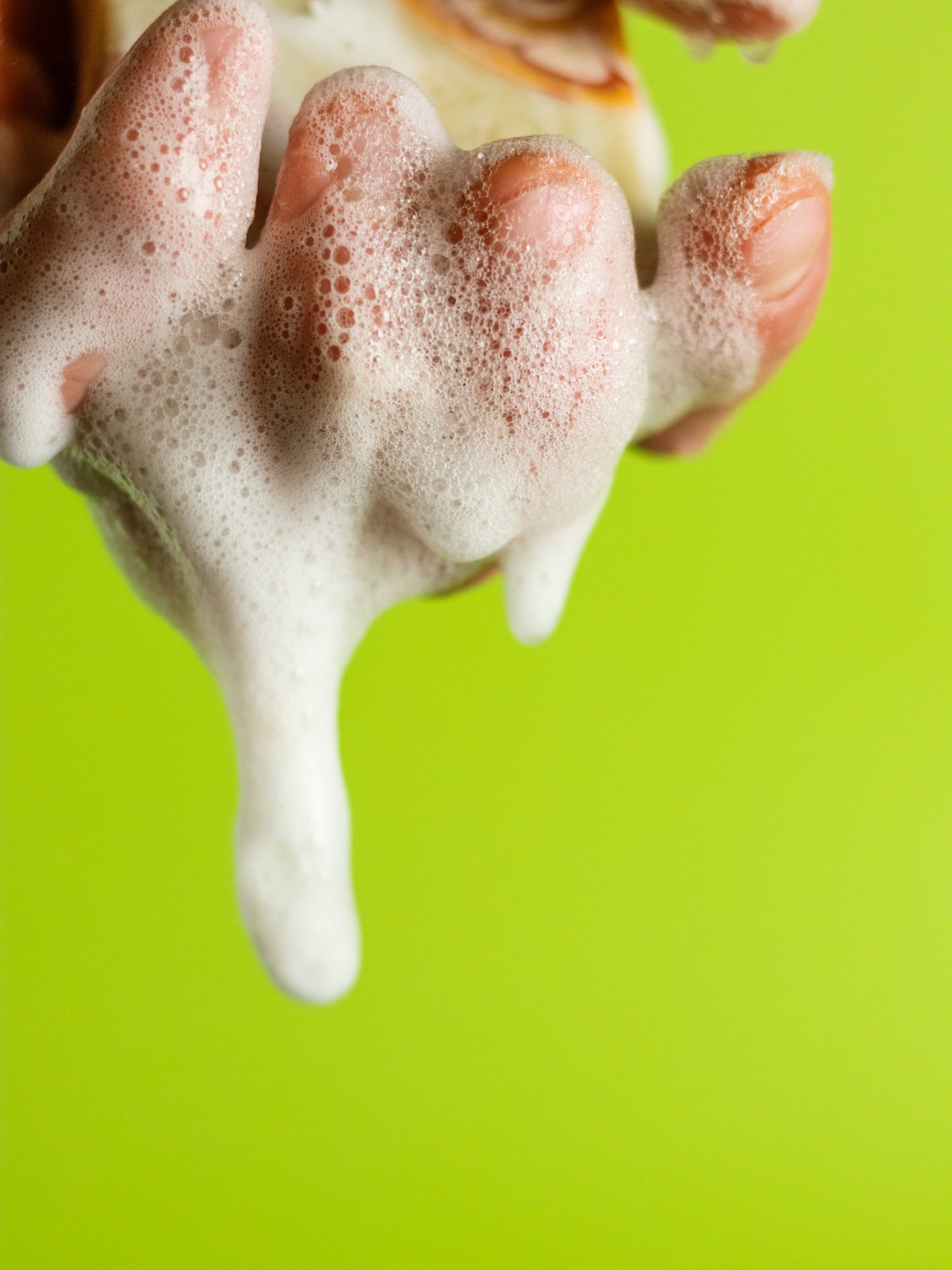 Siivoussaippua Raikas Bergamot Sitruuna